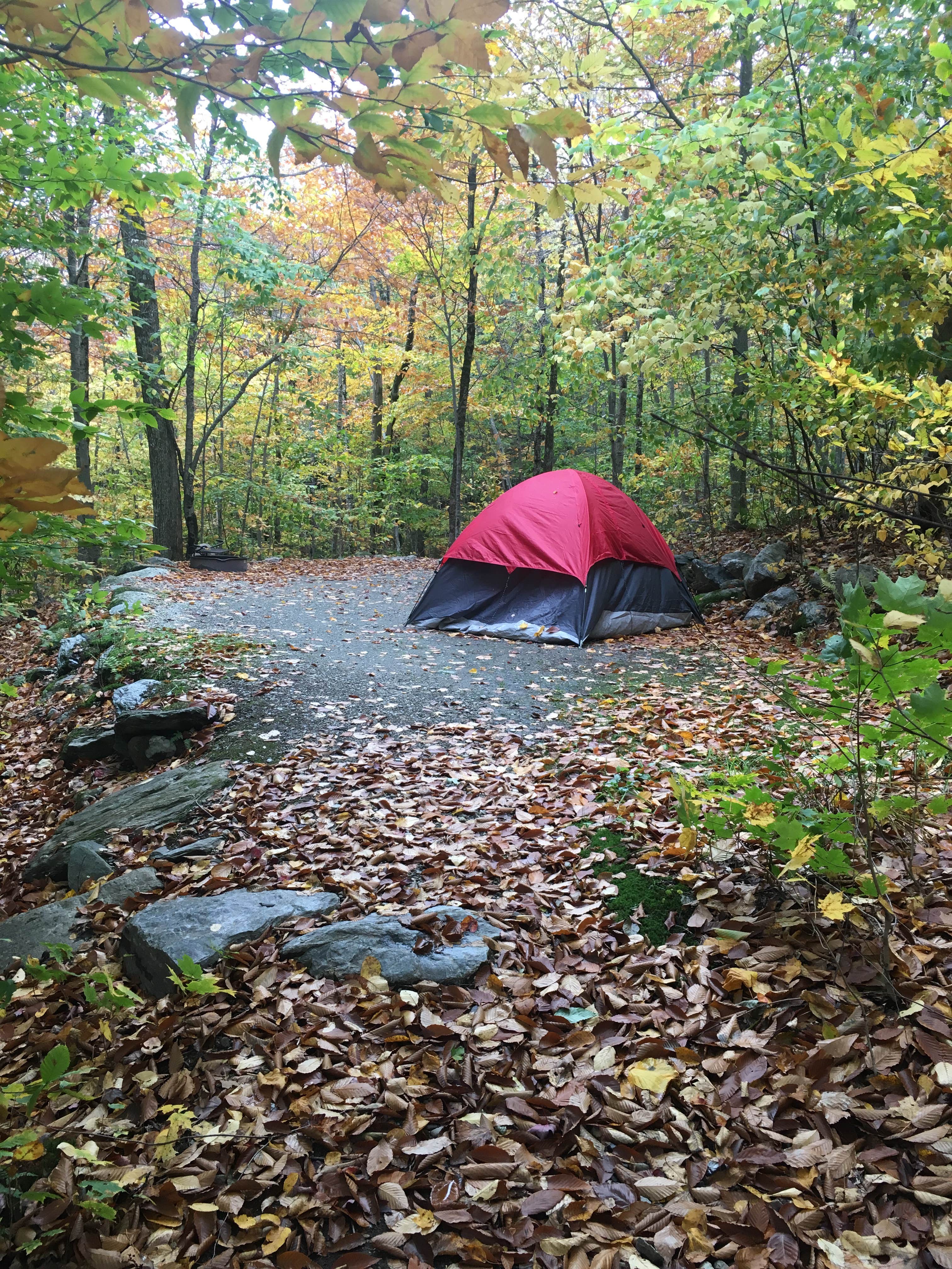 Camper-submitted photo at Smugglers Notch State Park Campground near Barre, VT