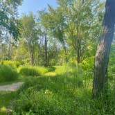 Review photo of Sugar River Forest Preserve by Brian O., June 11, 2023