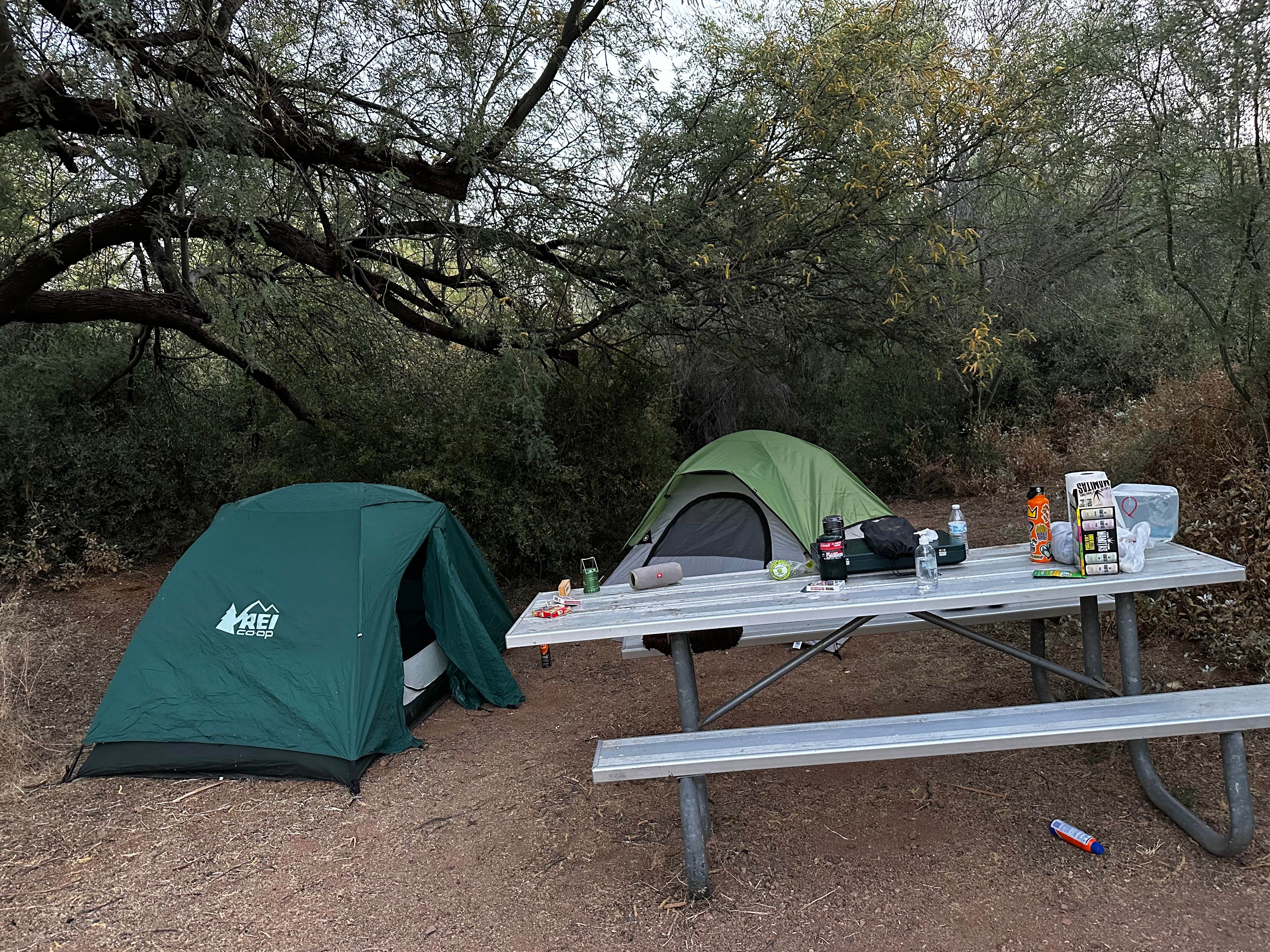 Katrina I.'s photo at Burnt Corral Campground near Tonto National Forest