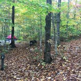 Review photo of Smugglers Notch State Park Campground by Rachel P., October 16, 2018