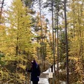 Review photo of Lake Bemidji State Park Campground by Tikki B., October 16, 2018