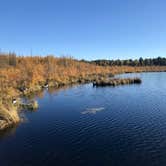 Review photo of Lake Bemidji State Park Campground by Tikki B., October 16, 2018