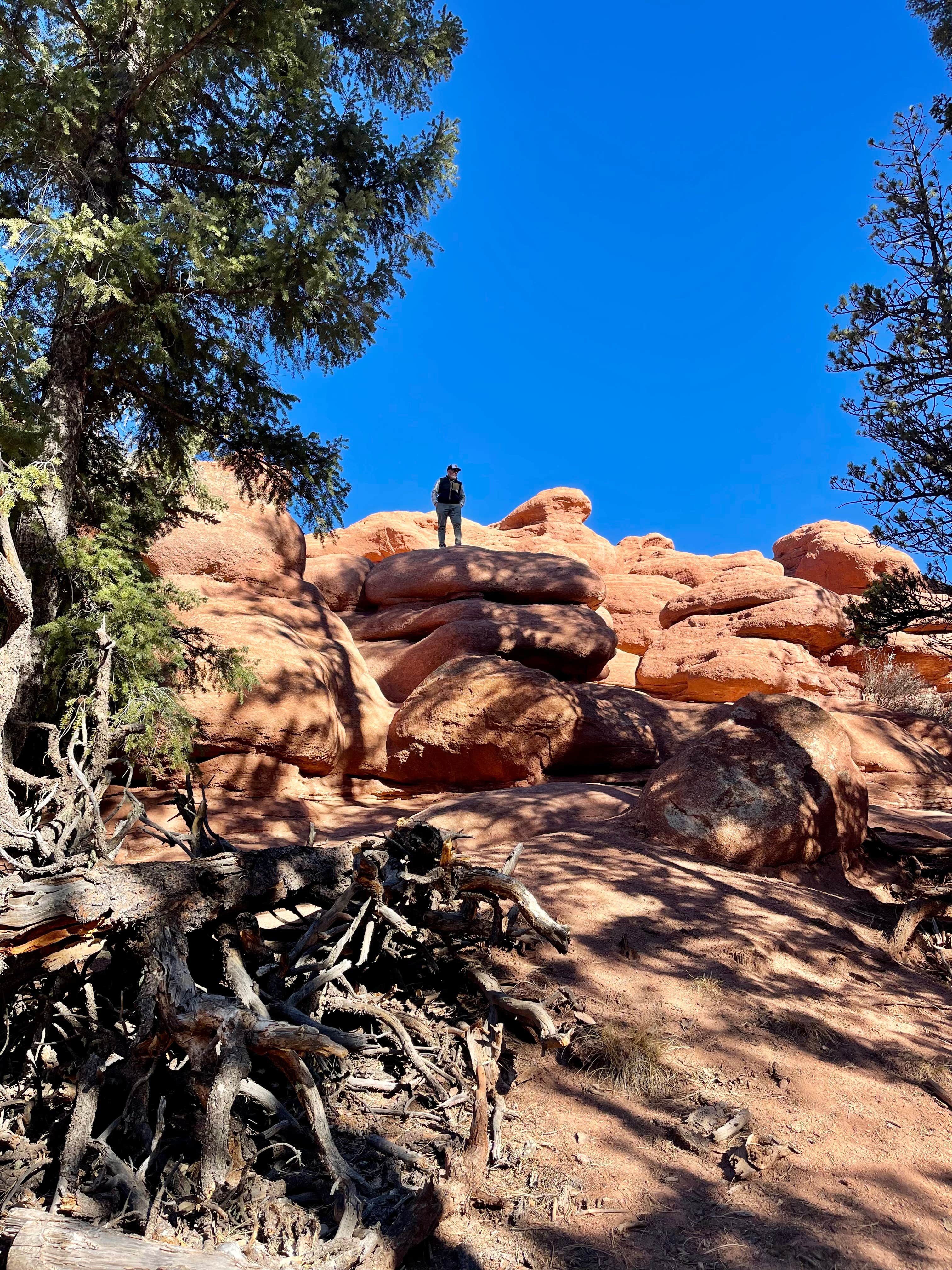 Camper submitted image from Red Rocks Group Campground - 5