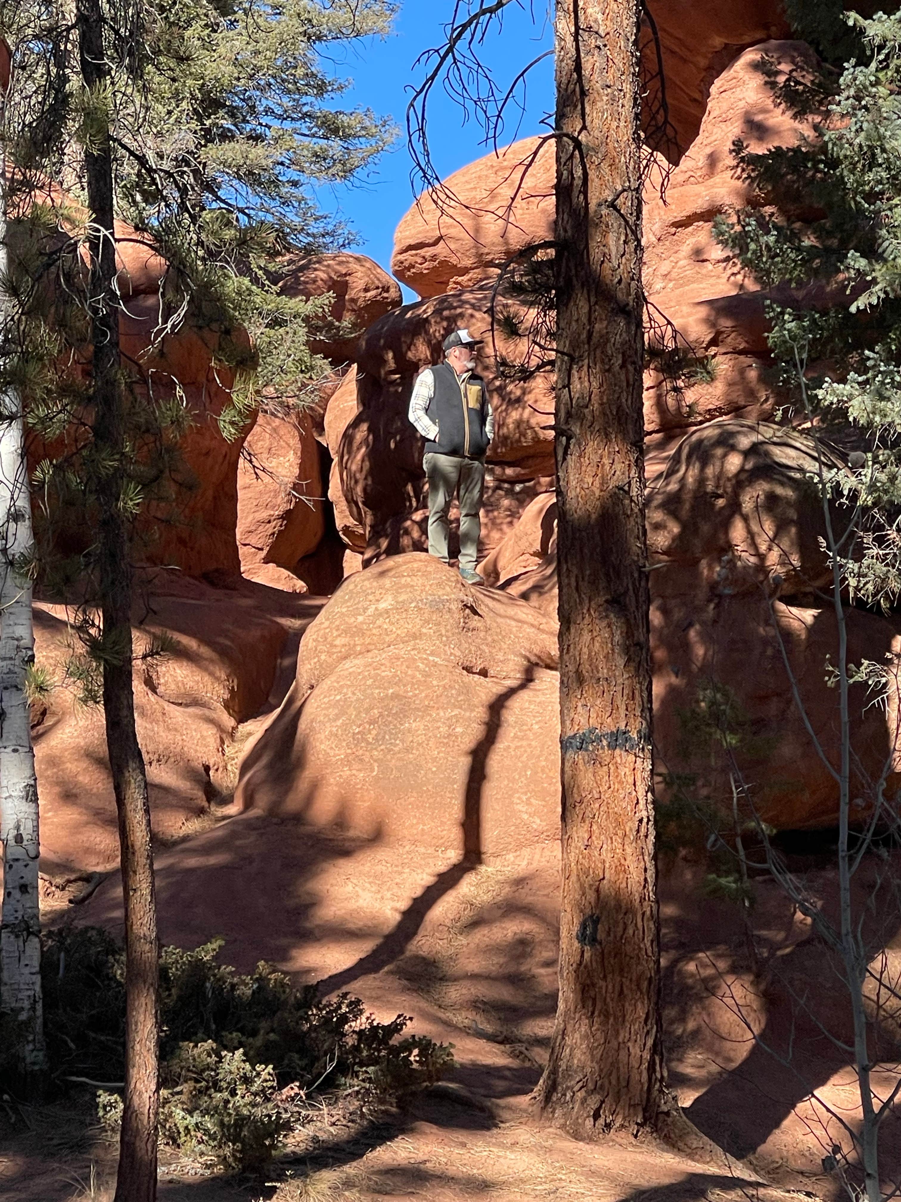 Camper submitted image from Red Rocks Group Campground - 5