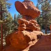 Review photo of Red Rocks Group Campground by Jennifer O., June 12, 2023