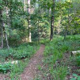 Review photo of West Rim - Cloudland Canyon State Park by shirley D., June 12, 2023