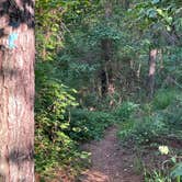 Review photo of West Rim - Cloudland Canyon State Park by shirley D., June 12, 2023