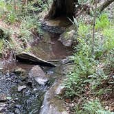 Review photo of West Rim - Cloudland Canyon State Park by shirley D., June 12, 2023