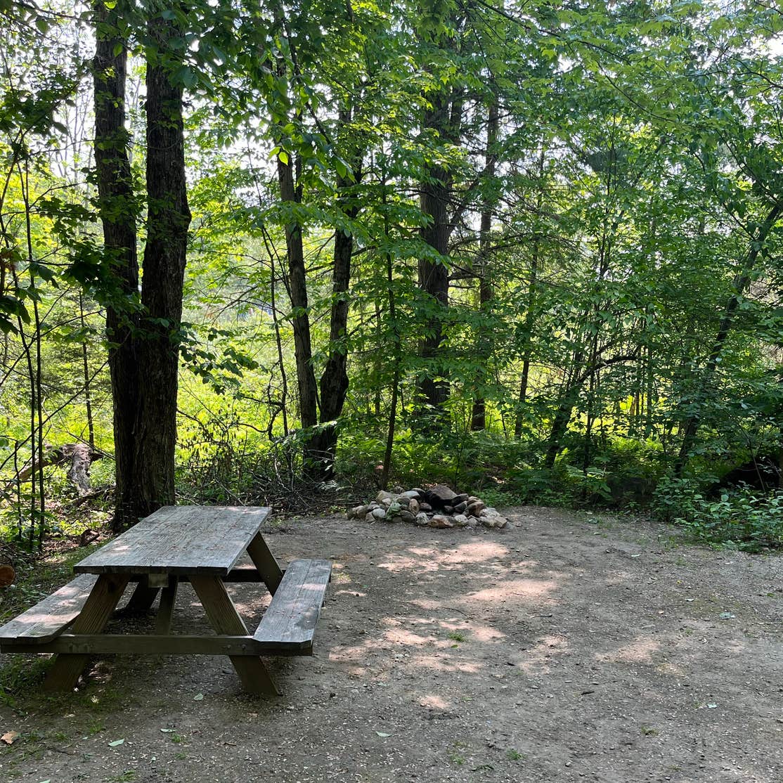 Fernwood Forest Campground | Hindsdale, MA