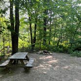 Review photo of Fernwood Forest Campground by TJ H., June 12, 2023