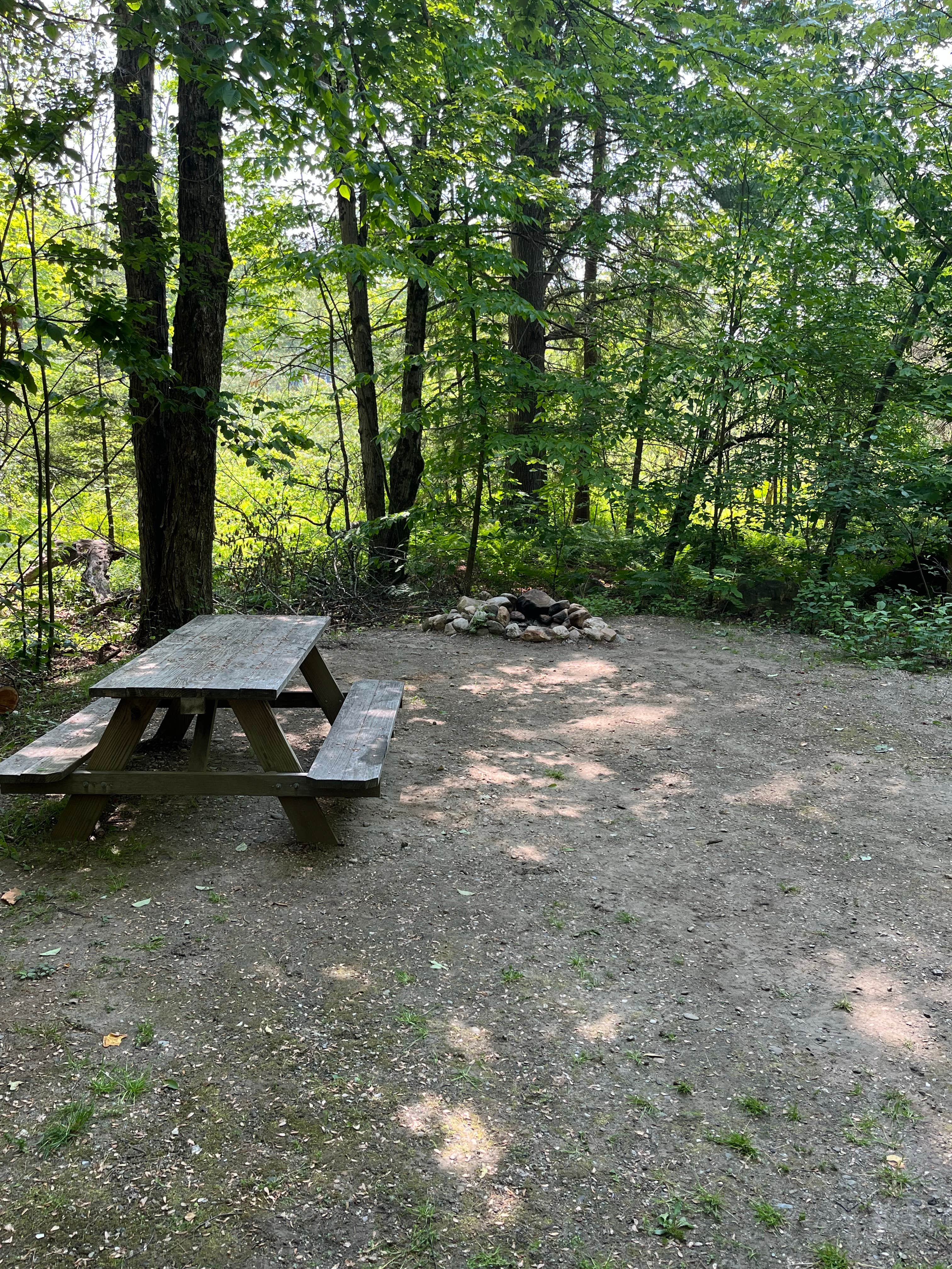 Camper submitted image from Fernwood Forest Campground - 5