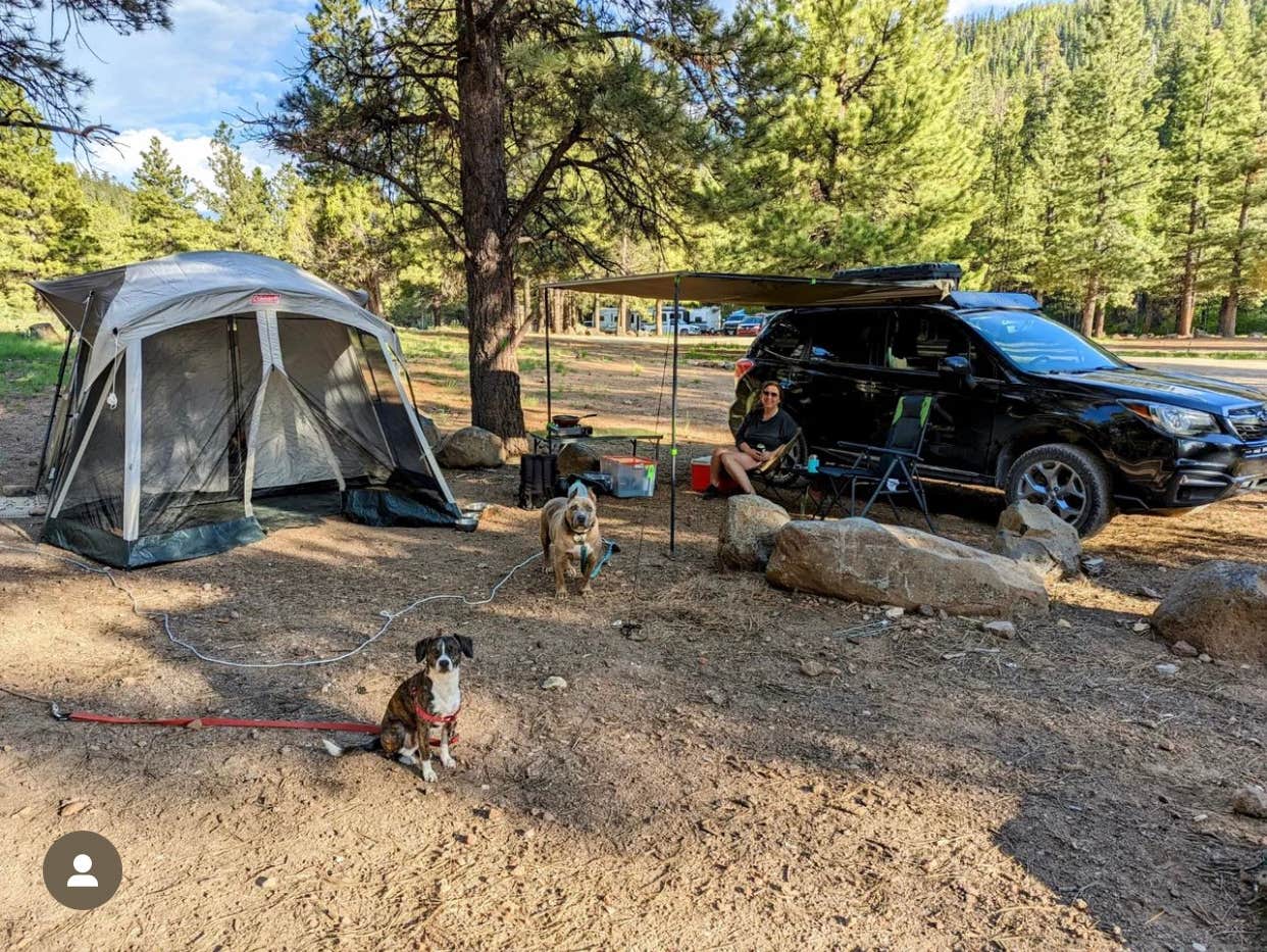 Cresta P.'s photo of camping with pets at Mammoth Dispersed near Cedar City, UT