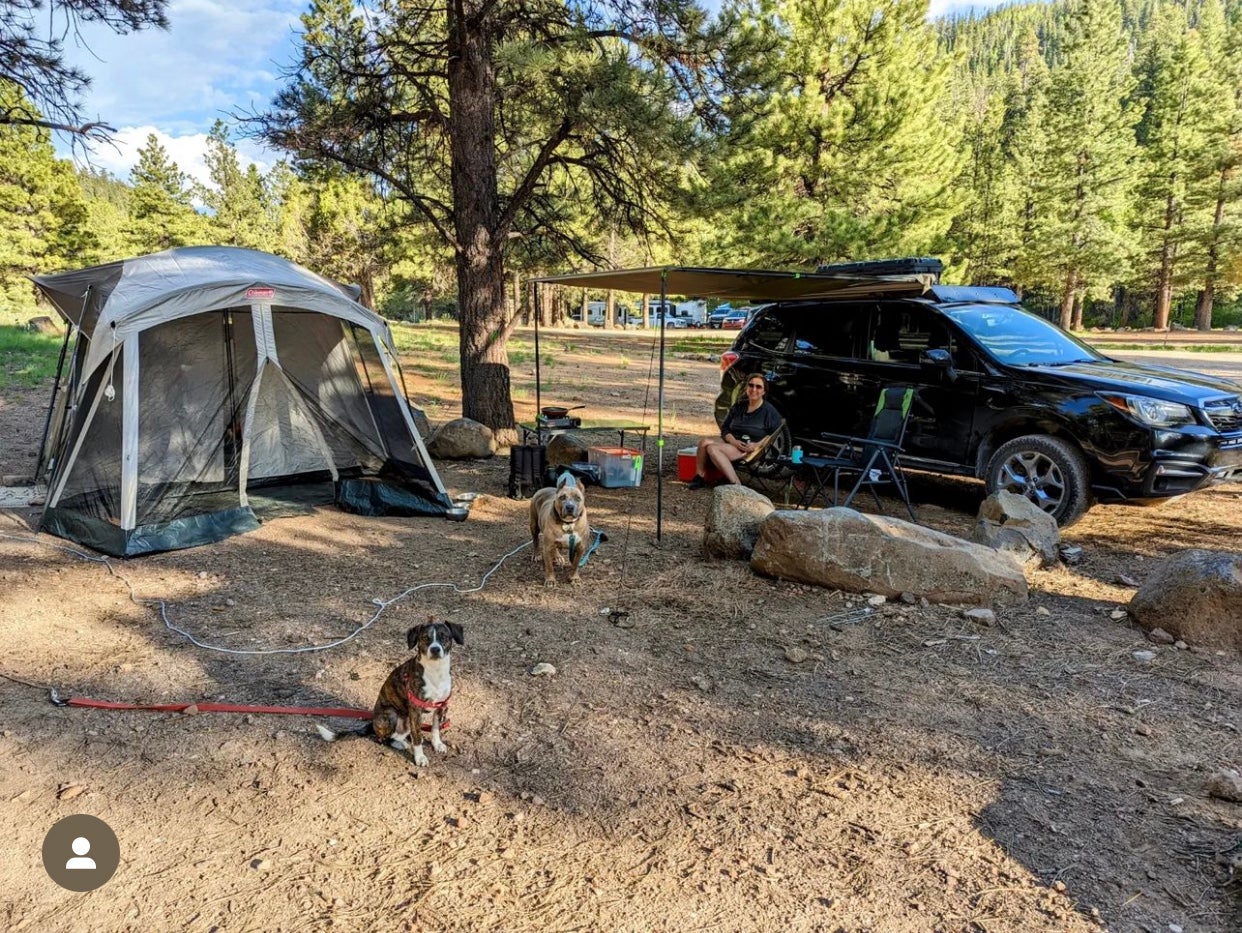Camper submitted image from Mammoth Dispersed - 1