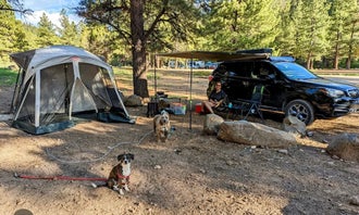 Camping near Yankee Designated Dispersed Camping Area: Mammoth Dispersed, Duck Creek Village, Utah