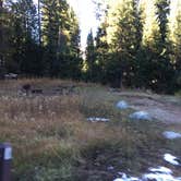 Review photo of Granite Creek Campground by Katherine B., October 16, 2018