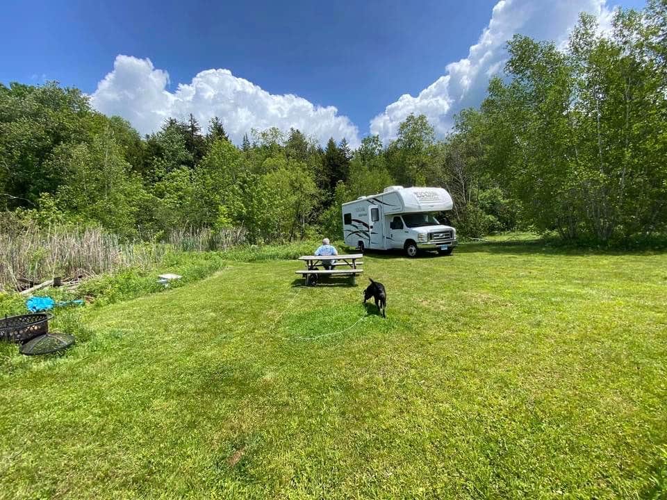 Andrzej K.'s photo of camping with pets at Gus's Gardens Camping near Drury, MA