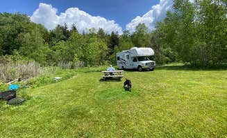 Andrzej K.'s photo of camping with pets at Gus's Gardens Camping near Ashfield, MA