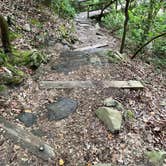 Review photo of Cloudland Canyon State Park Campground by shirley D., June 12, 2023