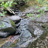 Review photo of Cloudland Canyon State Park Campground by shirley D., June 12, 2023