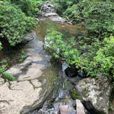 Review photo of Cloudland Canyon State Park Campground by shirley D., June 12, 2023