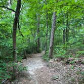 Review photo of Cloudland Canyon State Park Campground by shirley D., June 12, 2023