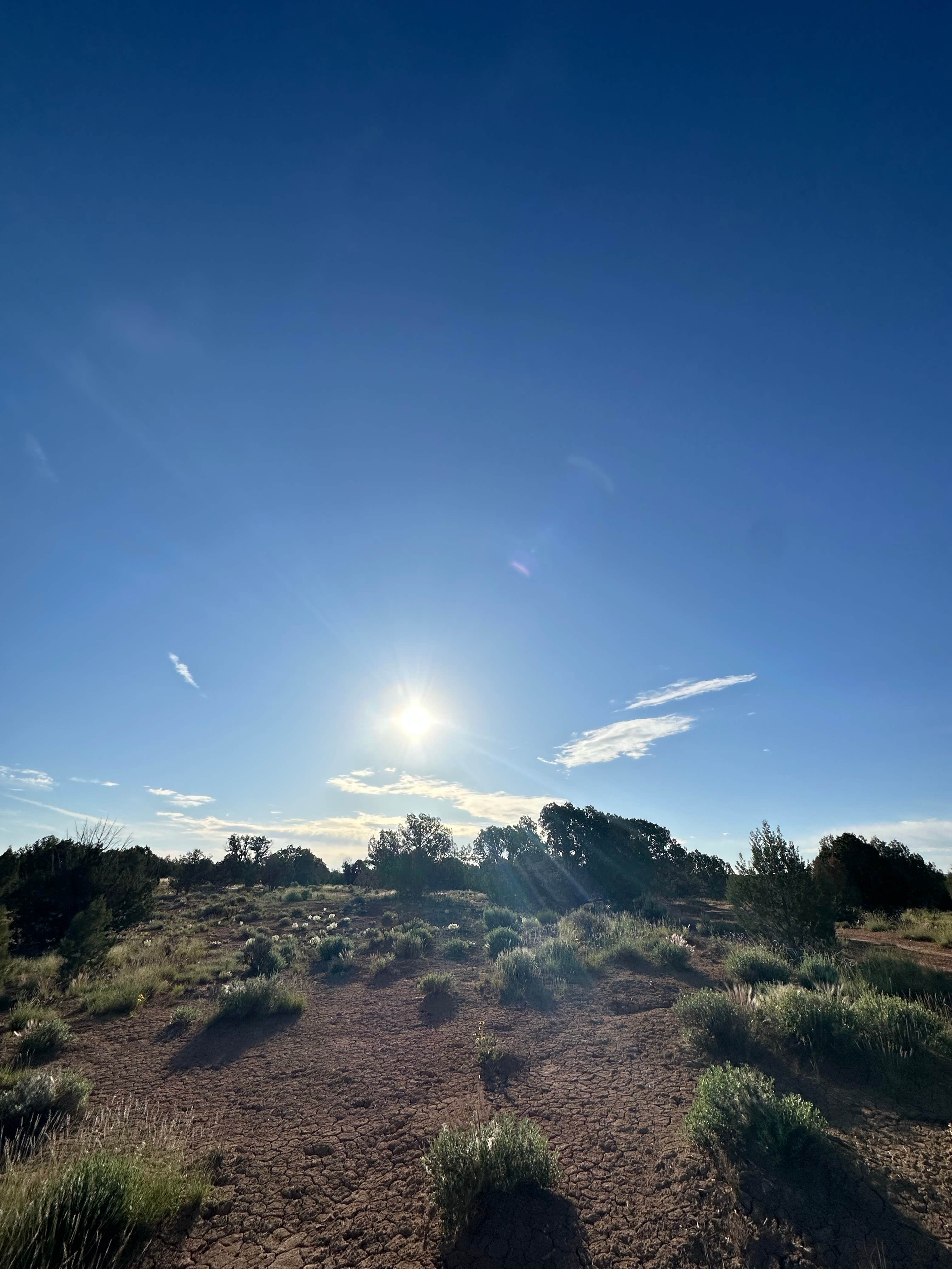 Christian M.'s photo of a dispersed camping area at Kitchen Corral Wash Dispersed Site near Page, AZ