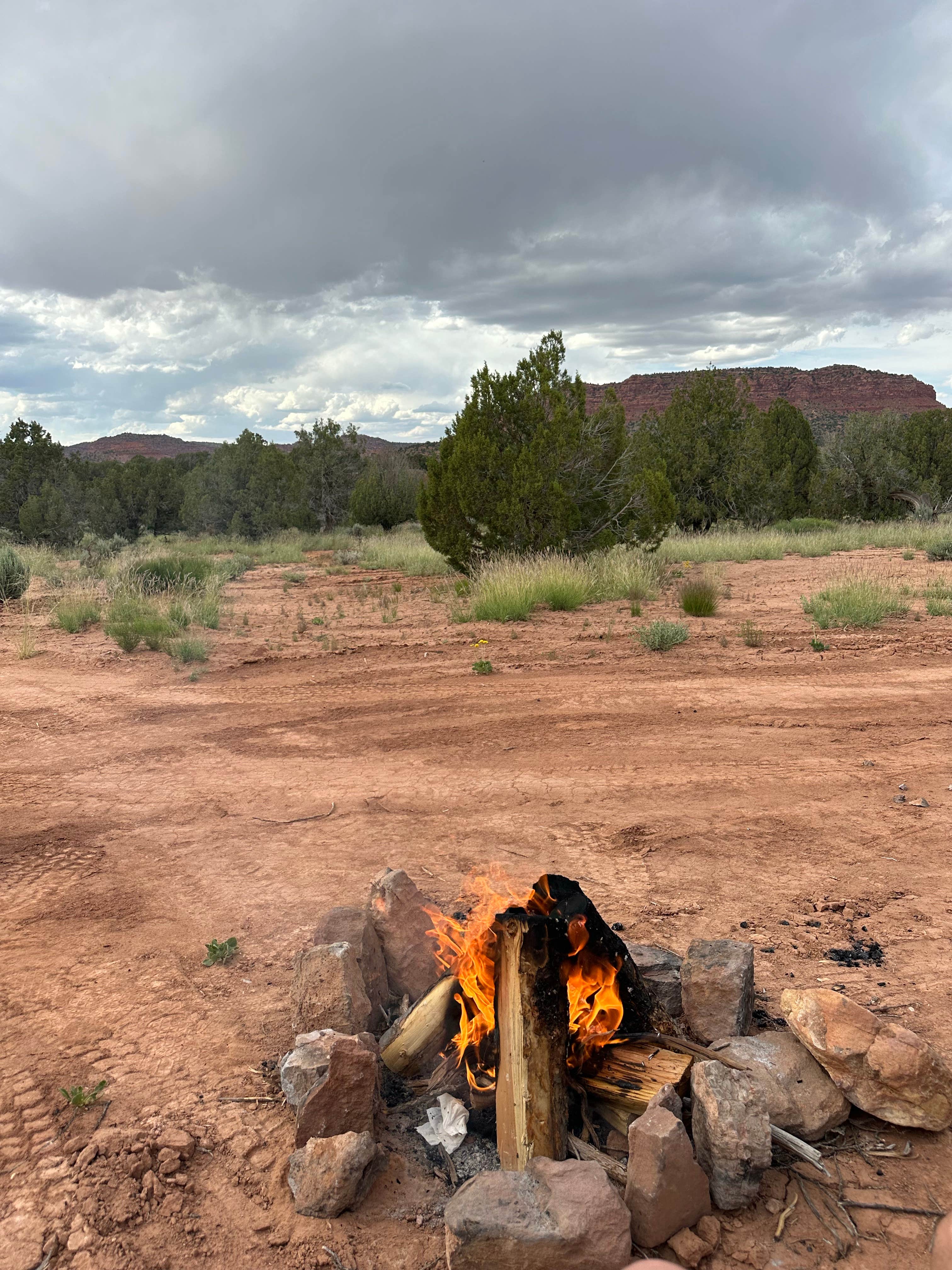 Camper submitted image from Kitchen Corral Wash Dispersed Site - 1