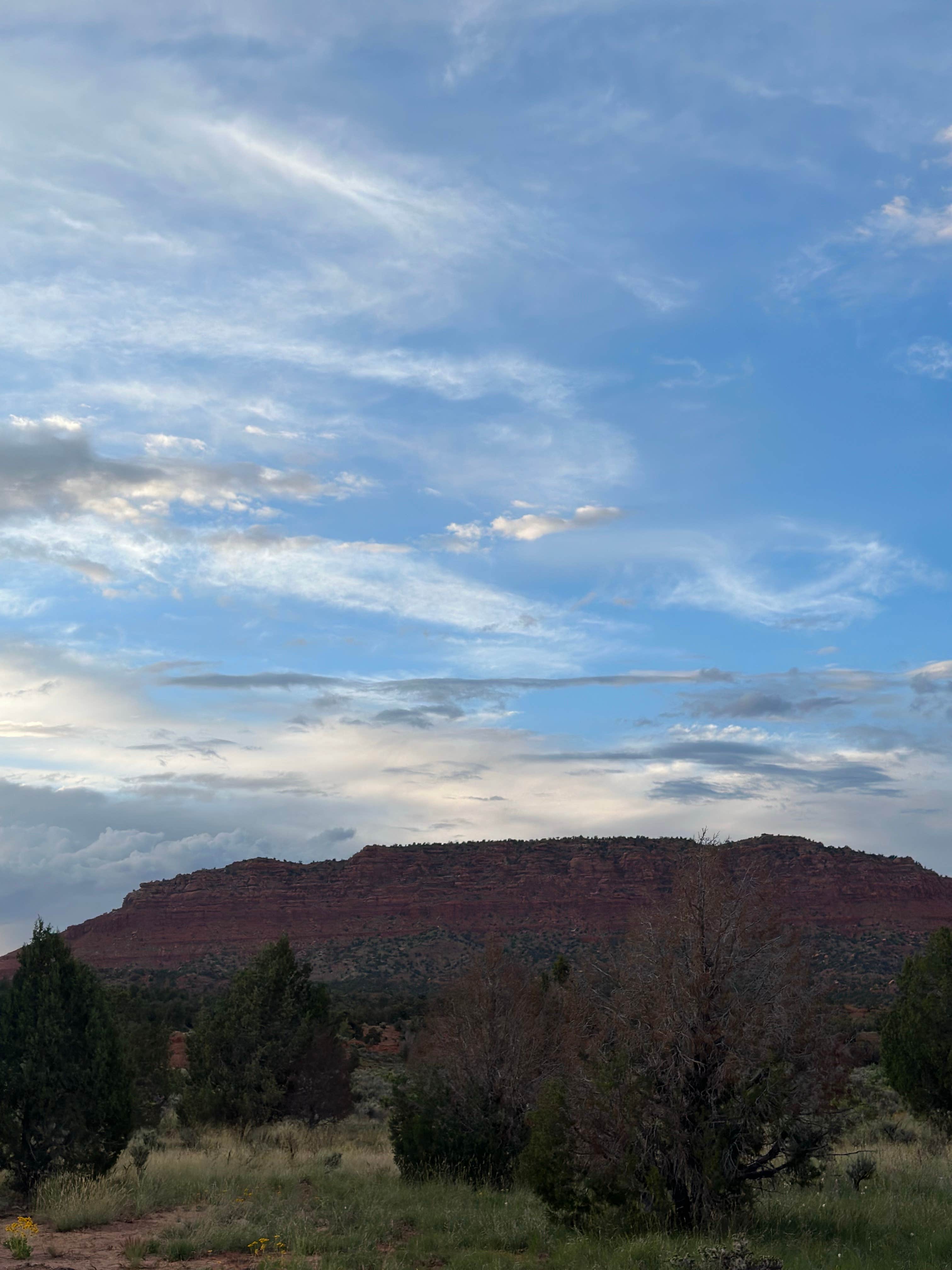 Camper-submitted photo at Kitchen Corral Wash Dispersed Site near Lake Powell, UT