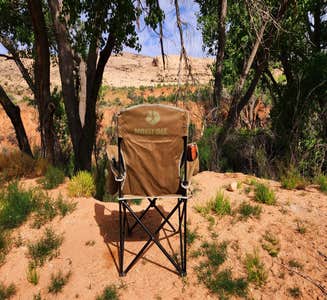 Camper-submitted photo from Butler Wash Dispersed - Bears Ears