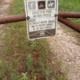 Review photo of Lone Star Hiking Trail Dispersed by Jasmine P., June 12, 2023