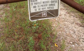 Camping near Lake Houston Wilderness Park: Lone Star Hiking Trail Dispersed, Richards, Texas