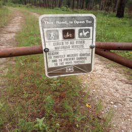 Lone Star Hiking Trail Dispersed