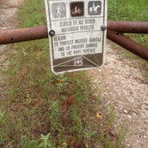 Review photo of Lone Star Hiking Trail Dispersed by Jasmine P., June 12, 2023