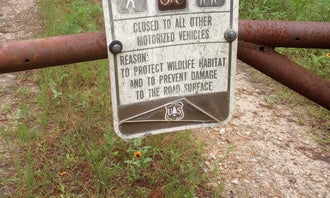 Camping near The Western RV Park: Lone Star Hiking Trail Dispersed, Richards, Texas