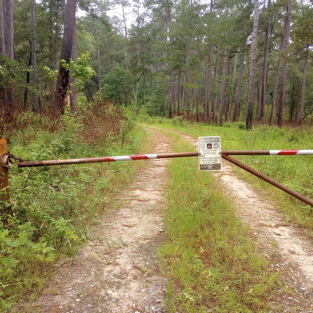 Lone Star Hiking Trail Dispersed Camping | Richards, TX