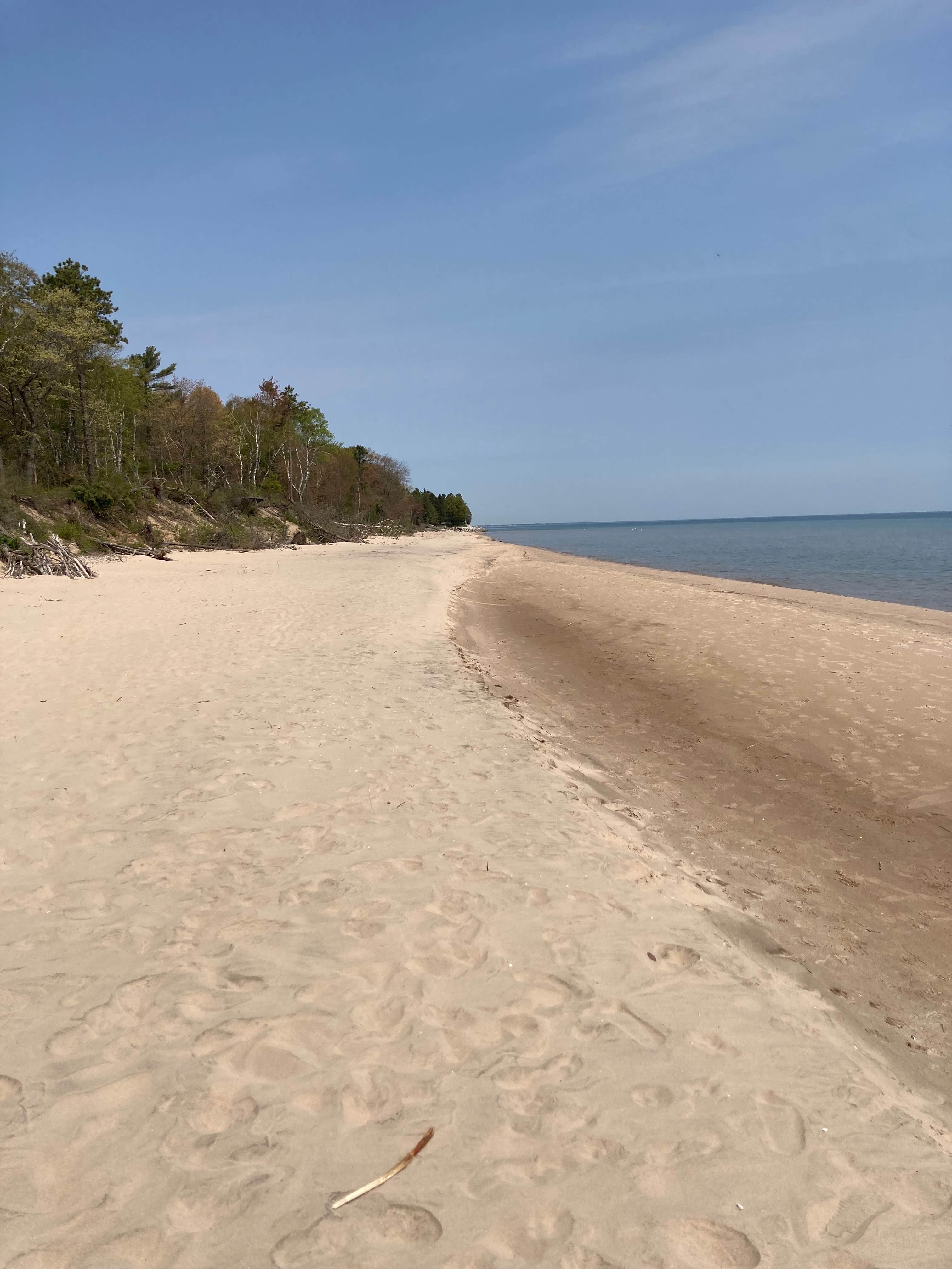 Camper submitted image from Point Beach State Forest - 5