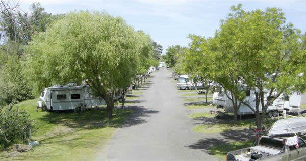 Holiday R.'s photo of rv camping at Holiday RV Park near Trail, OR