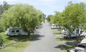 Holiday R.'s photo of rv camping at Holiday RV Park near Gold Hill, OR