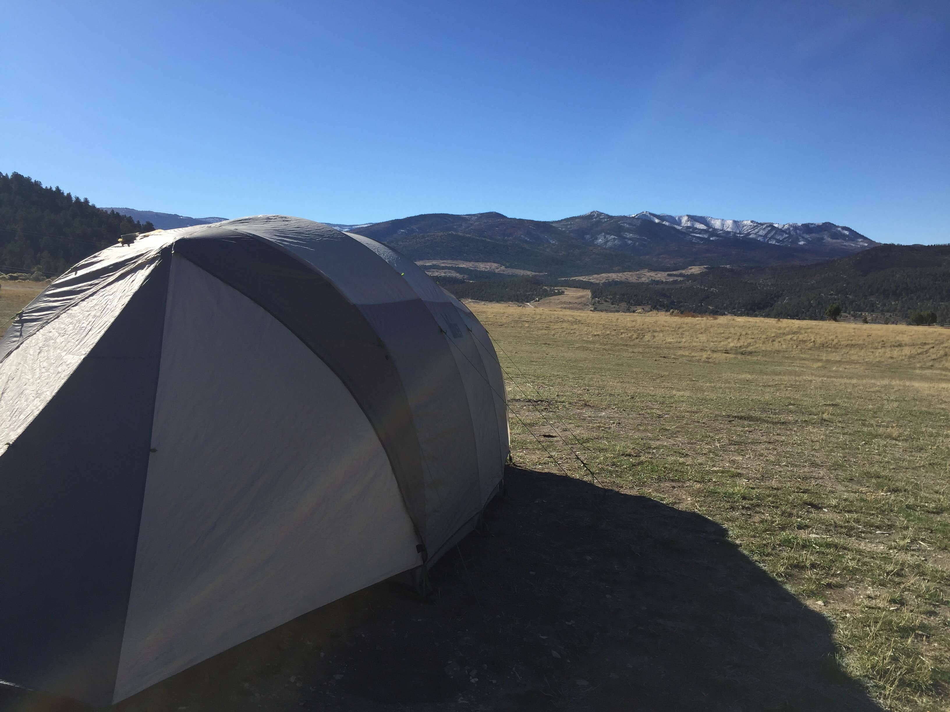 Camper submitted image from Sheep Creek Dispersed Camping Area - 3