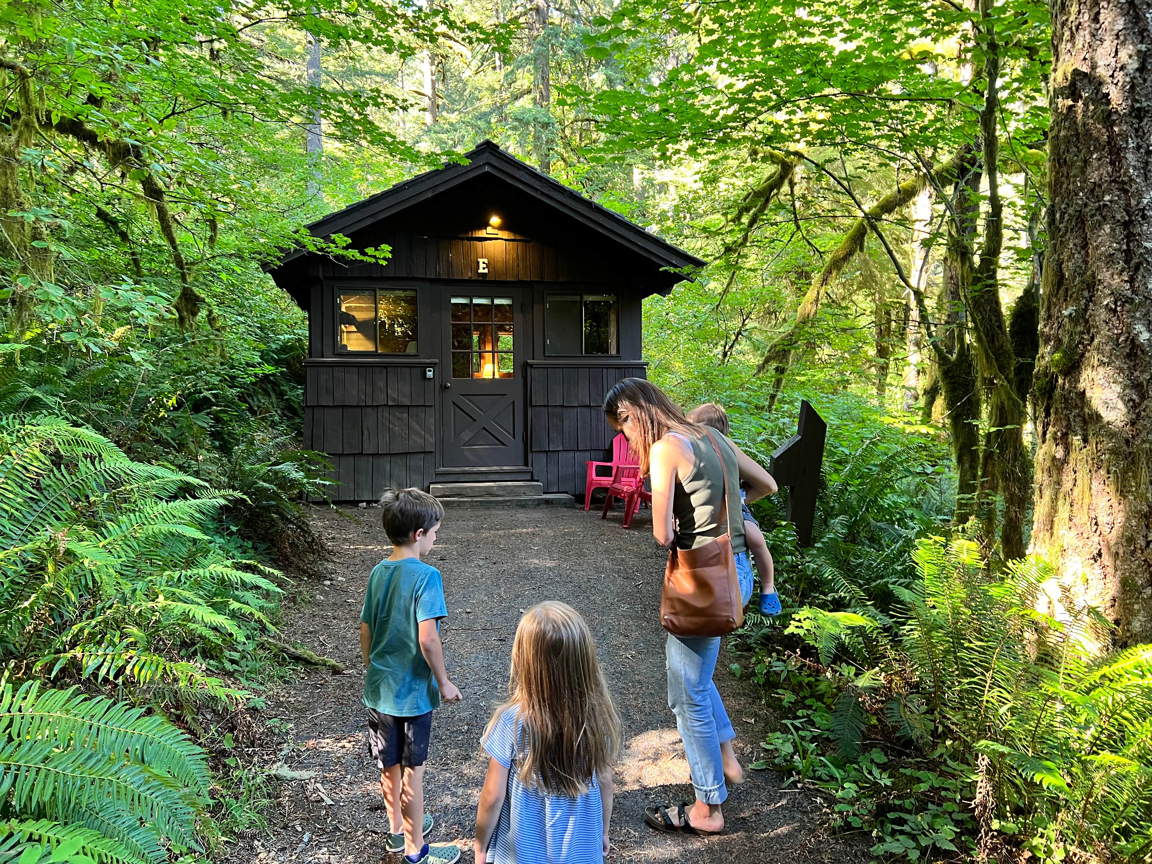 Derek N.'s photo of a cabin at Smith Creek Village — Silver Falls State Park near Molalla, OR