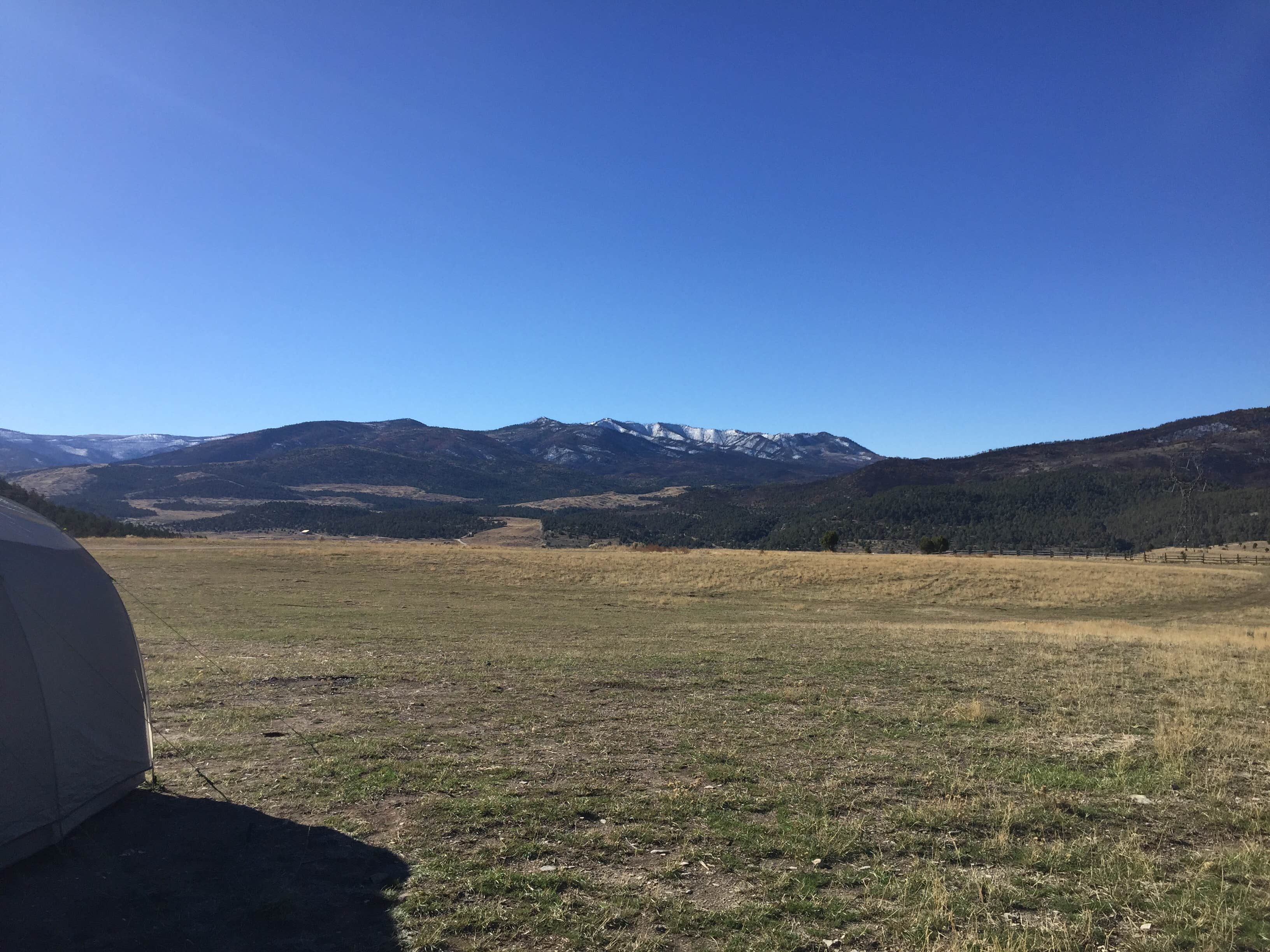 Camper submitted image from Sheep Creek Dispersed Camping Area - 4