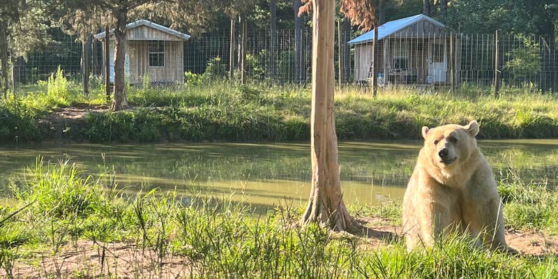 Camper submitted image from Grizzly Ranch