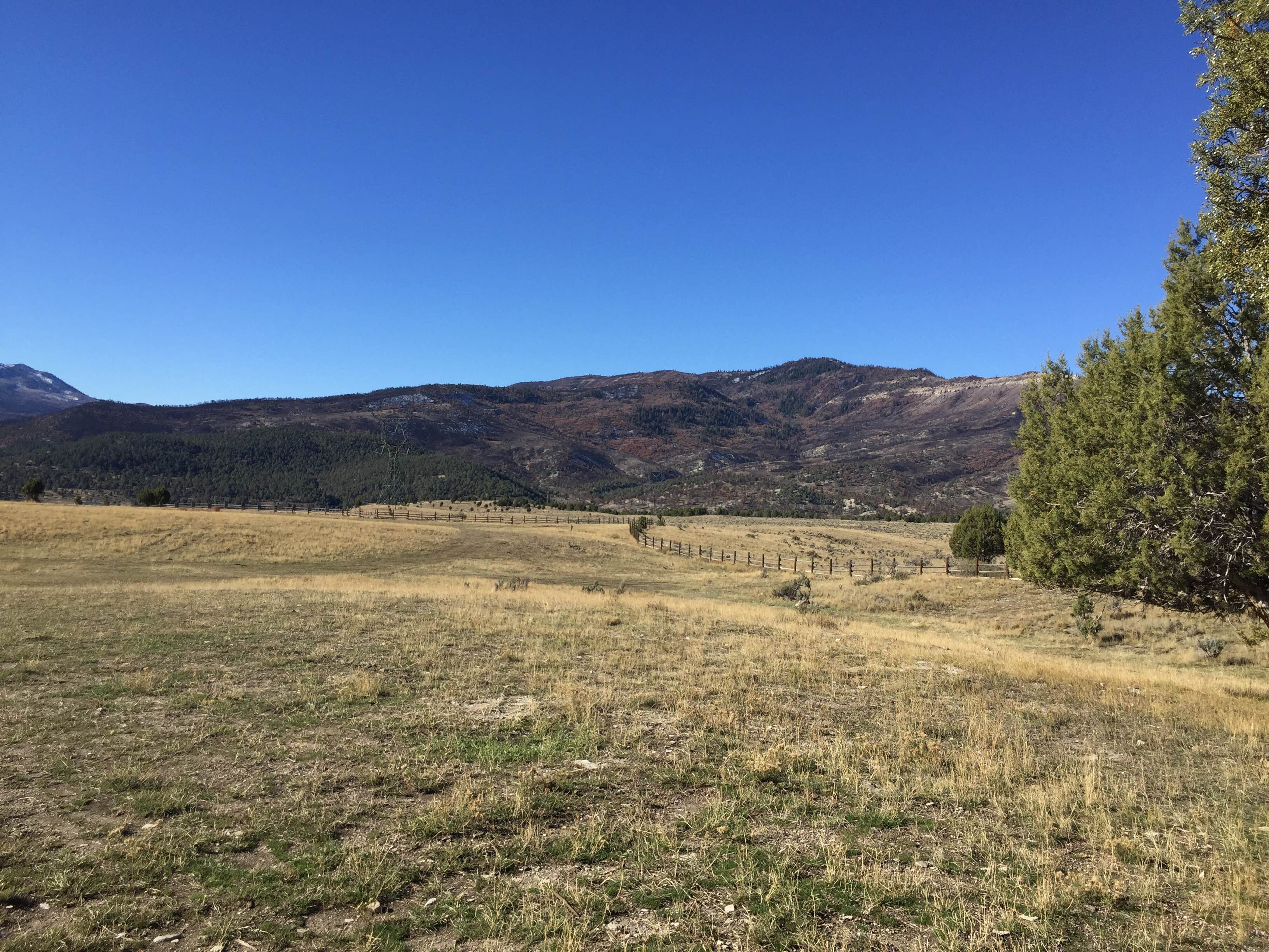 Camper submitted image from Sheep Creek Dispersed Camping Area - 2