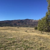 Review photo of Sheep Creek Dispersed Camping Area  by Aliyah B., October 16, 2018