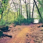 Review photo of Stokes State Forest by Juliana R., June 12, 2023