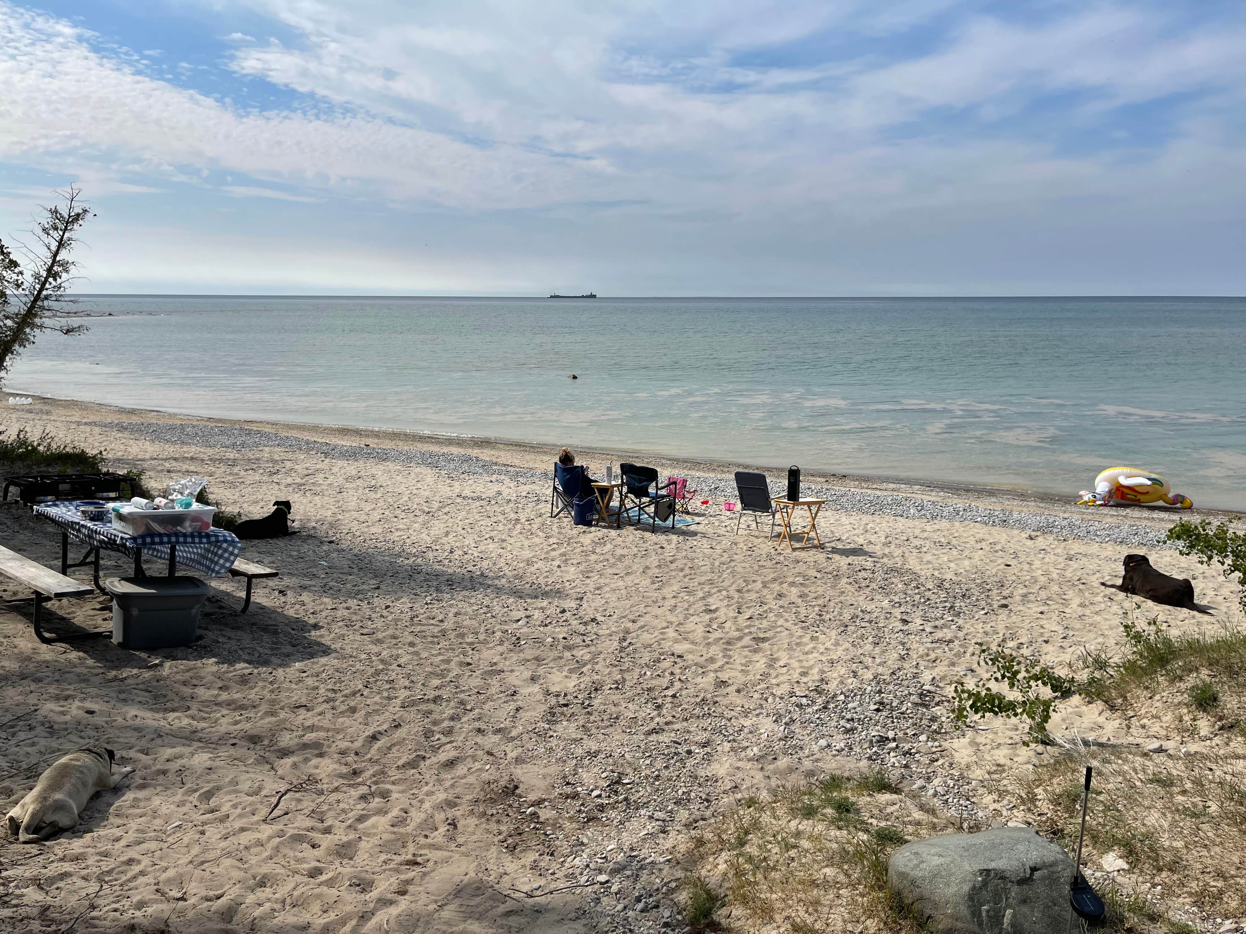 Terrance K.'s photo of camping with pets at Fisherman's Island State Park Campground near Ellsworth, MI