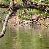 Review photo of Cliffwood Campground — Mirror Lake State Park by loren S., June 12, 2023