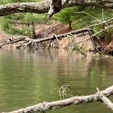 Review photo of Cliffwood Campground — Mirror Lake State Park by loren S., June 12, 2023