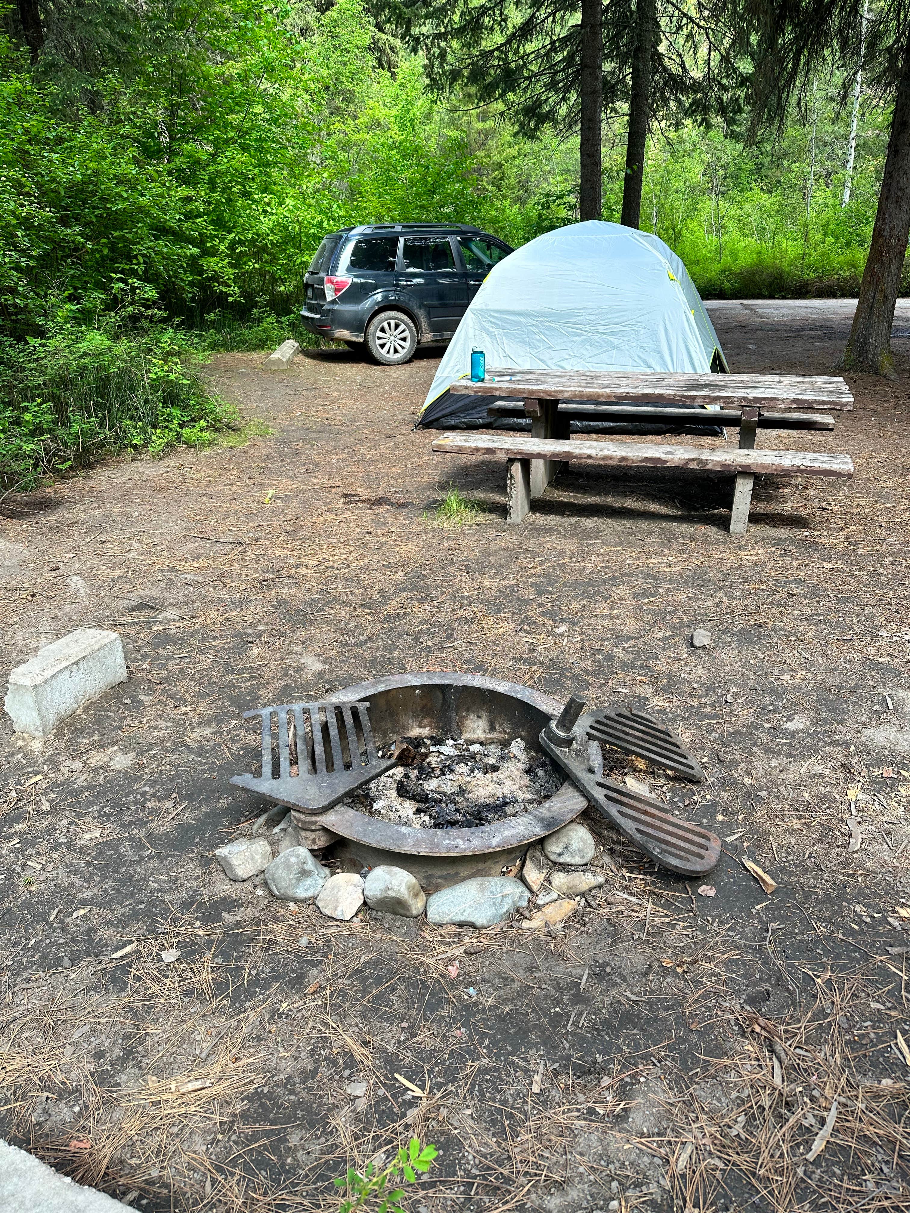 Camper submitted image from Black Bear Campground - 1