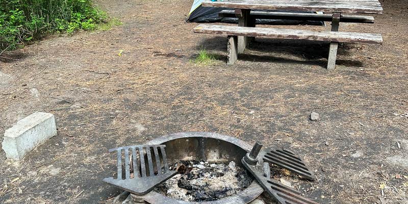 Camper submitted image from Black Bear Campground